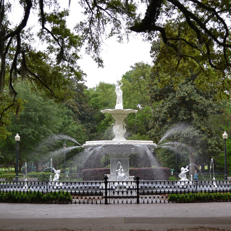Savannah park